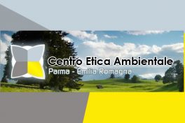Cambiamento climatico: implicazioni sul tessuto urbano di Parma