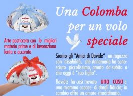 Una colomba per un volo speciale