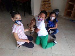 Casa Ger Children L'Albero