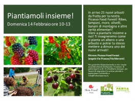 Piantiamoli insieme!