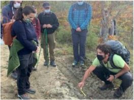 Piste, Tracce, Impronte