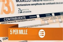 5x1000-Copia-1-480x0-1-480x0