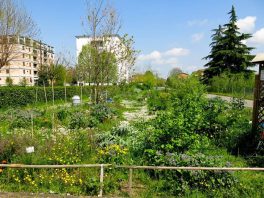 News dalla Food Forest