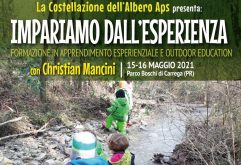 La Costellazione dell'Albero APS