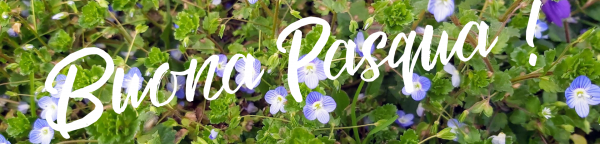 banner_call-to-action-2