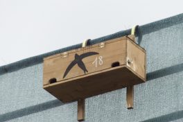 Associazione donne Ambientaliste