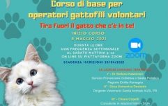 Tira fuori il gatto che c'è in te!