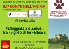 Passeggiata tra i vigneti di Torrechiara