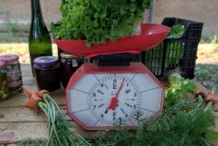 Sovranità alimentare in Emilia Romagna