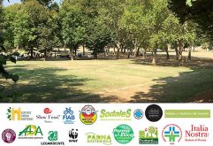 Là dove c'era l'erba...lasciatela!