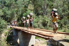 Pronti per il Madagascar?