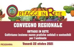 Ortaggi in rete