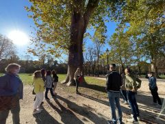 Passeggiata interculturale