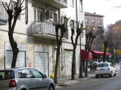 Festa del raccolto urbano 2021...addio!