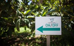 On off cerca un collaboratore