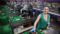 Pari merito: donne che contano