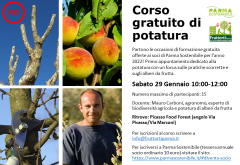 Corso di potatura