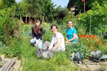 Cercasi educatori ambientali