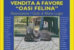 I pittori parmigiani per i Gatti di Maria Luigia