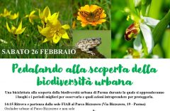 Alla scoperta della biodiversità urbana