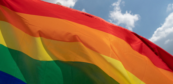 progetto-senza-titolo-16