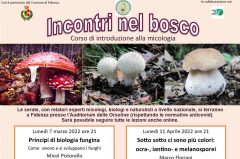 Introduzione alla micologia