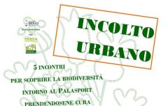 Incolto urbano