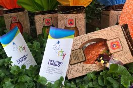 Le uova antiallergiche!