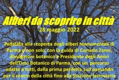 Alberi da scoprire in città