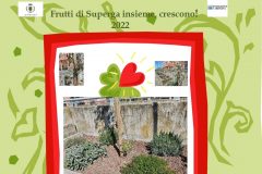 frutti-di-superga-insieme-4docx-1_page-0001-mod-2