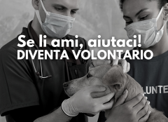 Nasce la prima ambulanza veterinaria di Parma