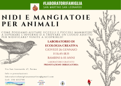 Laboratori di ecologia creativa