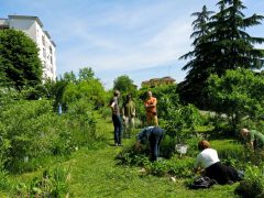 Video tour della Picasso Food Forest