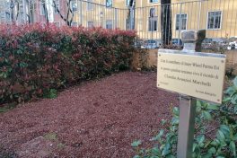 Villa Ester rinnova il giardino