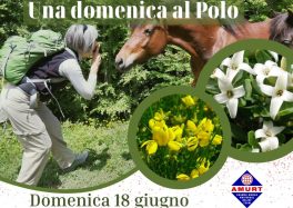 Una domenica al Polo