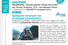 Quisquilie letterarie