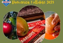 Pom da tèra e pom da bròca