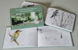 Natura disegnata, dipinta e raccontata