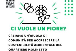 Ci vuole un fiore?