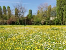 Il progetto "Prati fioriti"