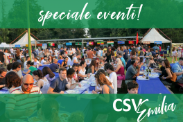 sicurezza-negli-eventi-2