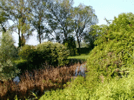 Visita guidata alla Riserva Parma Morta