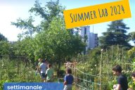 Summer Lab