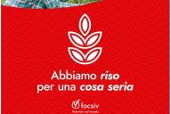 Riso per una cosa seria