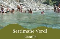 Le Settimane Verdi a Contile
