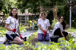 Chiesi con le associazioni