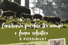 Uomini e fauna selvatica