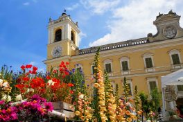 Colorno: due avvisi pubblici