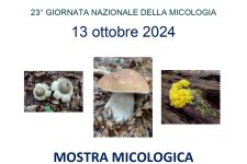 Giornata Nazionale della Micologia