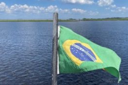 Per una Salute Collettiva